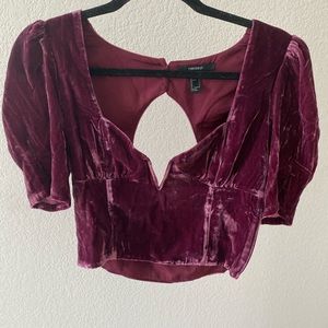 Velvet cropped blouse